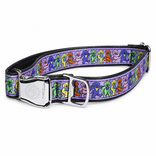 Dancing Dogs Collar